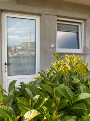 Сад в Apartman MAK