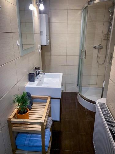 a bathroom with a sink and a toilet and a shower at Apartament za ratuszem in Tarnowskie Góry
