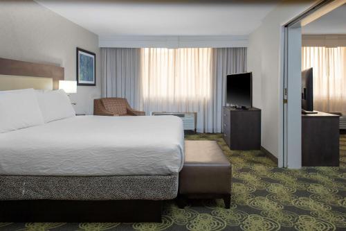 a hotel room with a bed and a television at Hilton Garden Inn Reagan National Airport in Arlington