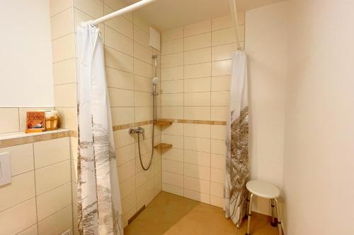 a bathroom with a shower with a shower curtain at Bernsteinquartier Ferienwohnung Blaues Fenster in Kölpinsee