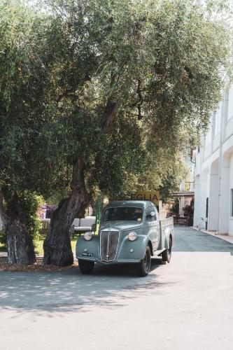 an old blue truck parked under a tree at Agriturismo Giorgio in Mattinata