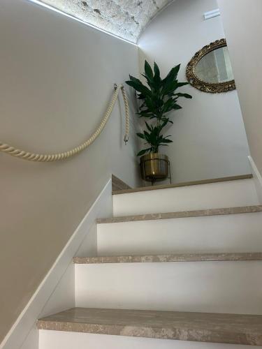a staircase with a potted plant on the wall at La Fabbrica di San Pietro Vasto in Vasto
