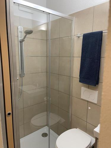 a bathroom with a toilet and a glass shower at Appartamento di 45mq a Balerna in Balerna