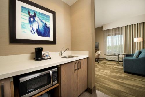 a hotel room with a sink and a living room at Hampton Inn & Suites Baltimore North/Timonium, MD in Timonium
