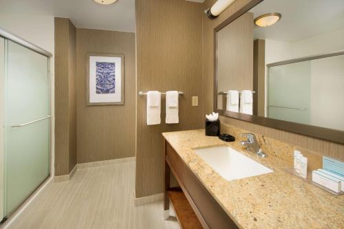 a bathroom with a sink and a large mirror at Hampton Inn & Suites San Antonio-Downtown/Market Square in San Antonio