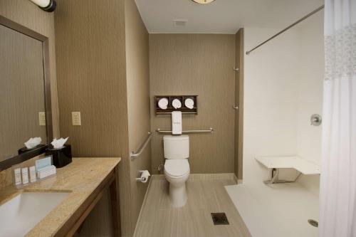 a bathroom with a toilet and a sink and a shower at Hampton Inn & Suites San Antonio-Downtown/Market Square in San Antonio