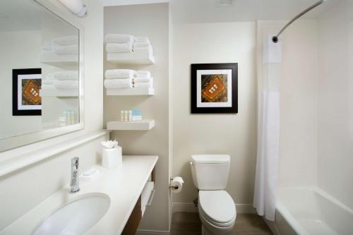 La salle de bains est pourvue d'un lavabo, de toilettes et d'un miroir. dans l'établissement Hampton Inn & Suites Falls Church, à Falls Church