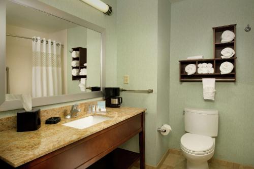 Hampton Inn Uvaldeにあるバスルーム