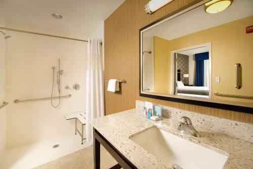 a bathroom with a sink and a large mirror at Hampton Inn and Suites Washington DC North/Gaithersburg in Gaithersburg