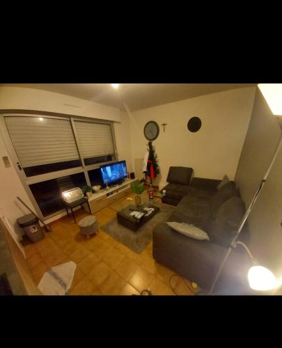 a living room with a couch and a television at idéal pour vacances et affaires in Perpignan