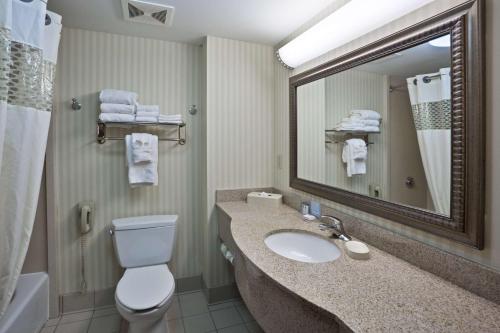 a bathroom with a sink and a toilet and a mirror at Hampton Inn Ithaca in Ithaca