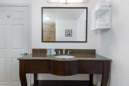 a bathroom with a sink and a mirror at Hampton Inn & Suites Buffalo/Downtown in Buffalo