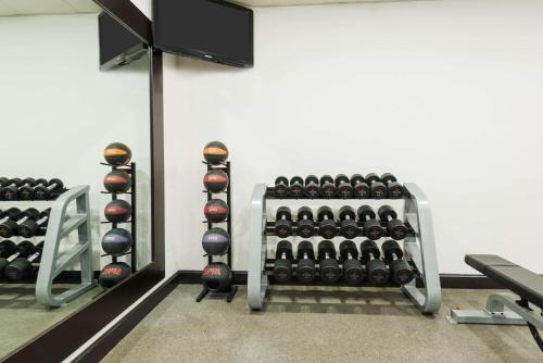 a gym with a rack of dumbbells at Homewood Suites by Hilton Holyoke-Springfield/North in Holyoke