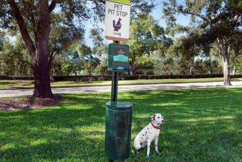 a dog sitting next to a trash can in the grass at Home2 Suites By Hilton Orlando Near UCF in Orlando