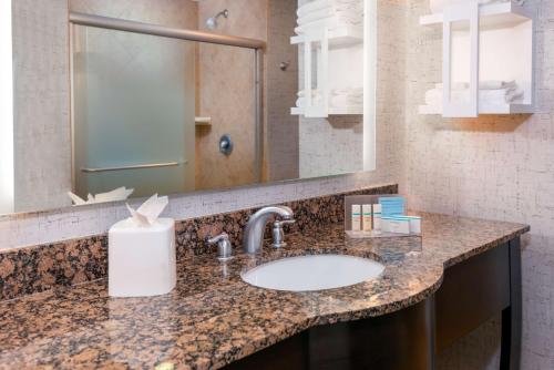 a bathroom with a sink and a mirror at Hampton Inn and Suites Sarasota/Lakewood Ranch in Sarasota