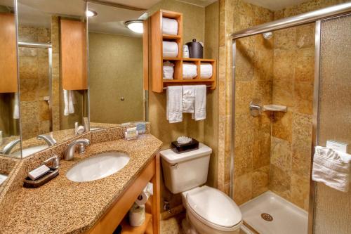 a bathroom with a toilet sink and a shower at Hampton Inn Nashville/Brentwood-I-65S in Brentwood