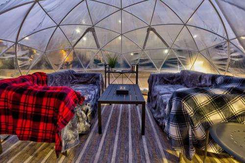 a room with two couches and a table in a igloo at Homewood Suites by Hilton Pittsburgh Downtown in Pittsburgh