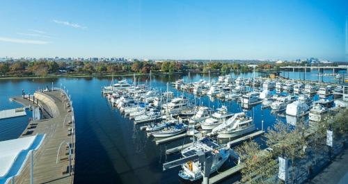 a bunch of boats docked in a marina at Canopy By Hilton Washington DC The Wharf in Washington