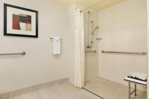 a bathroom with a shower with a shower curtain at Embassy Suites by Hilton Chicago North Shore Deerfield in Deerfield