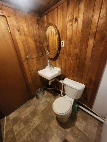 a bathroom with a toilet and a sink at cabin 2 in Manistique