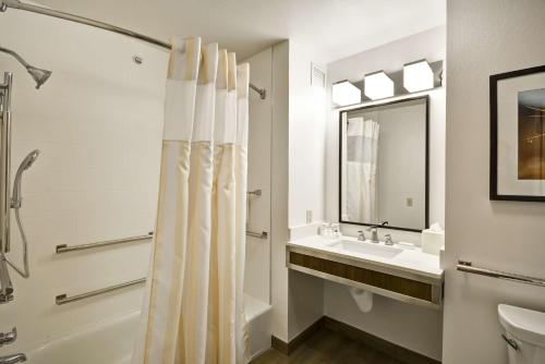 圆石城Hilton Garden Inn Austin Round Rock的带浴帘和水槽的浴室