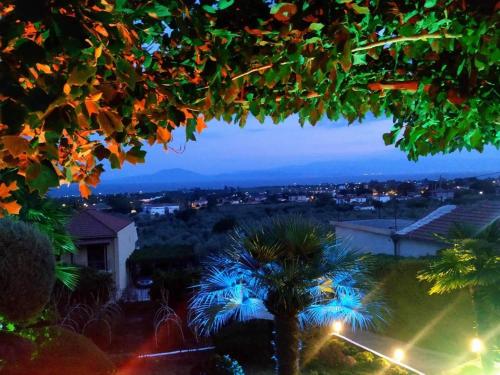 a view of a city at night with a palm tree at Mirovili House in Káto Lekhónia
