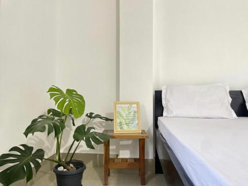 een slaapkamer met een bed en een plant naast een tafel bij Alub Naam Homestay in Itānagar