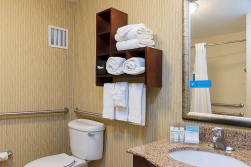 W łazience znajduje się toaleta, umywalka i lustro. w obiekcie Hampton Inn East Lansing w mieście East Lansing