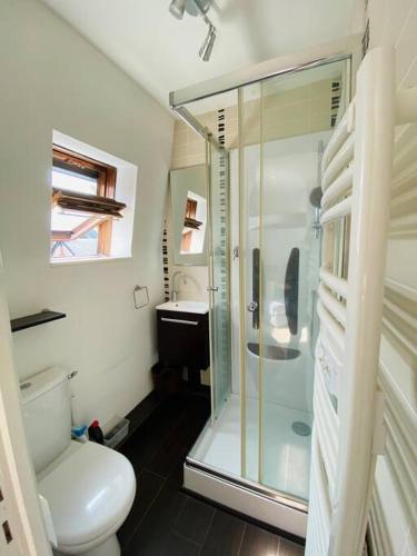 une salle de bain avec une douche, des toilettes et un lavabo dans l'établissement Cosy Duplex Centre Trouville parking gratuit, à Trouville-sur-Mer