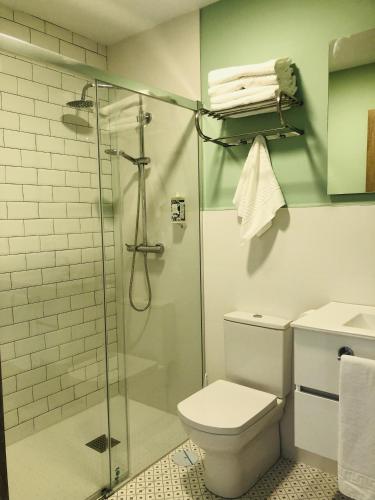 a bathroom with a toilet and a glass shower at Os amorodos in Poio