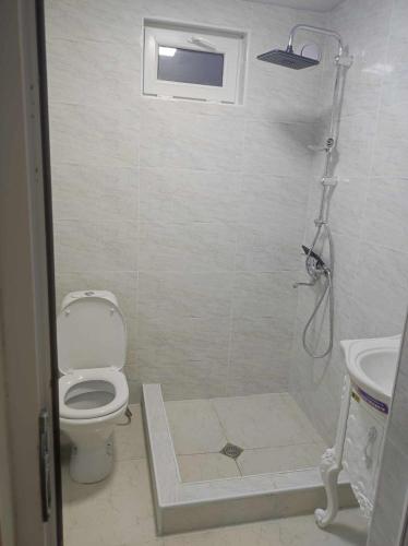 a bathroom with a toilet and a sink at COZY house მყუდრო სახლი in Kazbegi