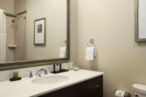 Embassy Suites Saint Louis - Downtown Image