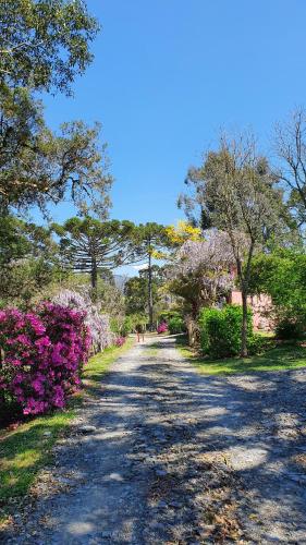 a dirt road with pink flowers and trees at Pousada Bracatinga in Bom Retiro