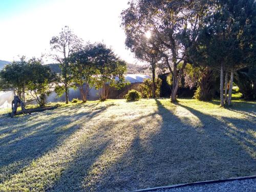 a shadow of a tree on a grass field at Pousada Bracatinga in Bom Retiro