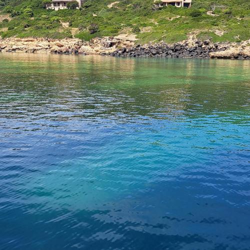 Φυσικό τοπίο κοντά σε αυτό το bed & breakfast