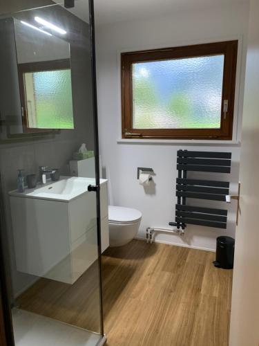 La salle de bains est pourvue d'un lavabo blanc et de toilettes. dans l'établissement Apartment EigerView, à Grindelwald