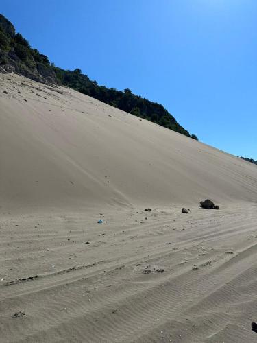 a large sand dune with trees on top of it at Rrjolli View Beach in Velipojë