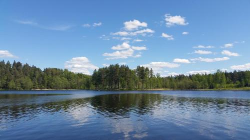 a large lake with trees in the background at Ezerkalni in Raiskums