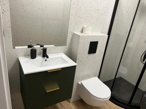 a bathroom with a sink and a toilet and a mirror at Aquarius Kilińskiego 5 in Grodzisk Mazowiecki