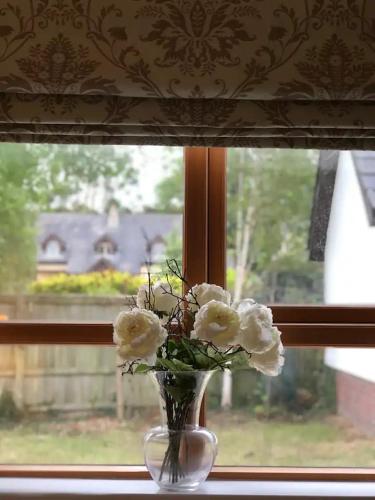 Gallery image of Large Detached Villa in Avoca