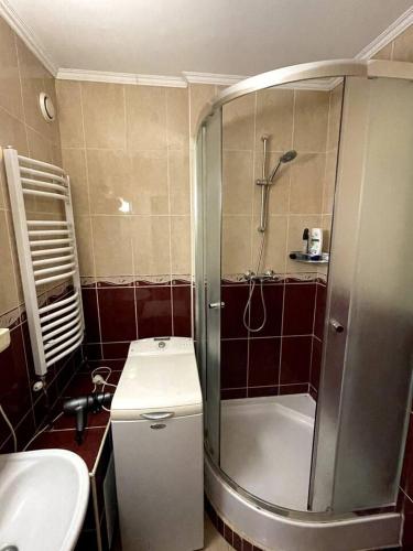 Koupelna v ubytování SzigetFesztivál Budapest
