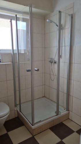 a shower with a glass door in a bathroom at Monteurswohnung am Ederseeradweg mit 2 Schlafzimmern, Terrasse, Parkplatz - einfach in Waldeck
