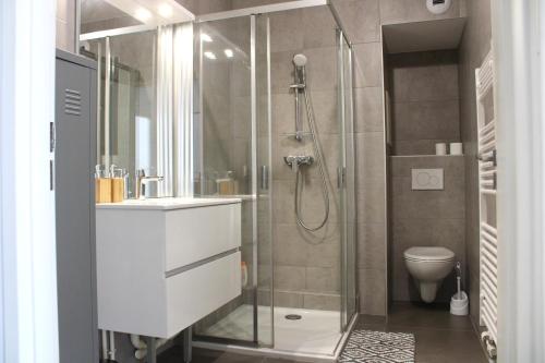 ein Bad mit einer Dusche, einem Waschbecken und einem WC in der Unterkunft Magnifique T2 proche gare in Rueil-Malmaison