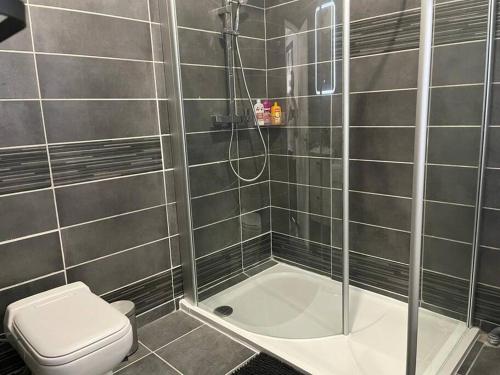 une salle de bain avec douche et toilettes dans l'établissement suite totem, à Lyon