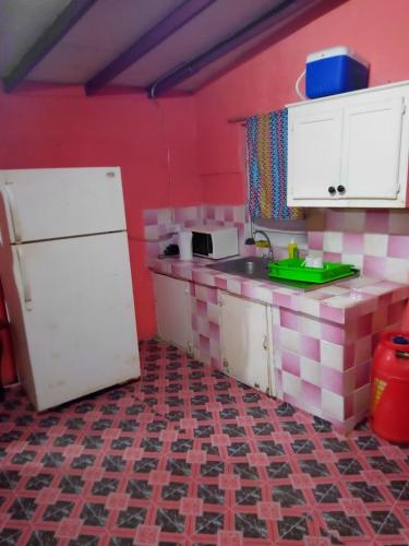 cocina con paredes rosas y nevera blanca en Newport House en Roseau