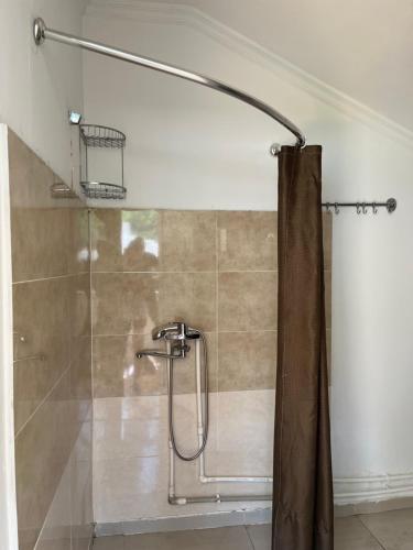 W łazience znajduje się prysznic z zasłoną prysznicową. w obiekcie Guest House Lulu w mieście Barisakho
