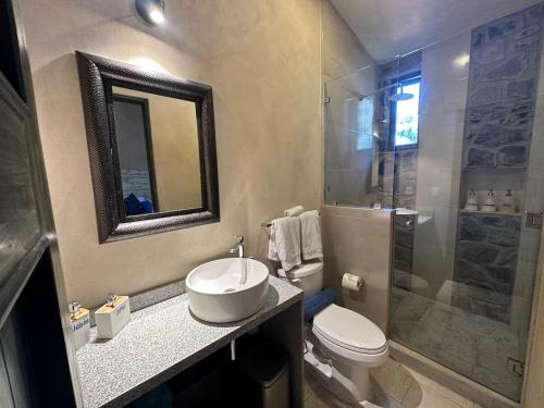 La salle de bains est pourvue d'un lavabo, de toilettes et d'une douche. dans l'établissement L’Appuntamento en Val'Quirico, à Santeagueda