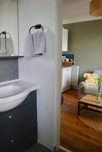 une salle de bain avec lavabo et un salon dans l'établissement Joli Studio proche Paris; Stade de France, à Saint-Denis