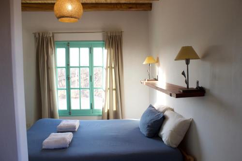 a bedroom with a blue bed and a window at Finca Rosablanca in Tunuyán