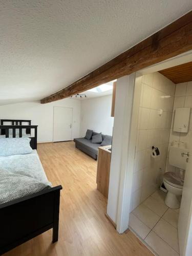 1 dormitorio con 1 cama y 1 sofá en una habitación en Zentrale Wohnung in Düren en Düren - Eifel